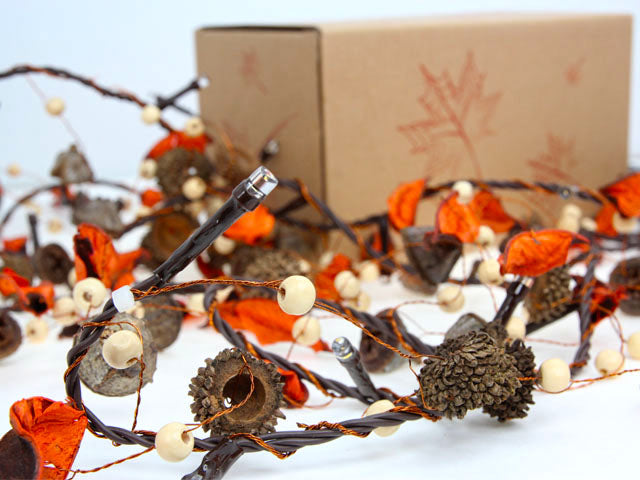 Battery Operated Decorative Warm White LED String Light with Acorn Natural - Pack of 5