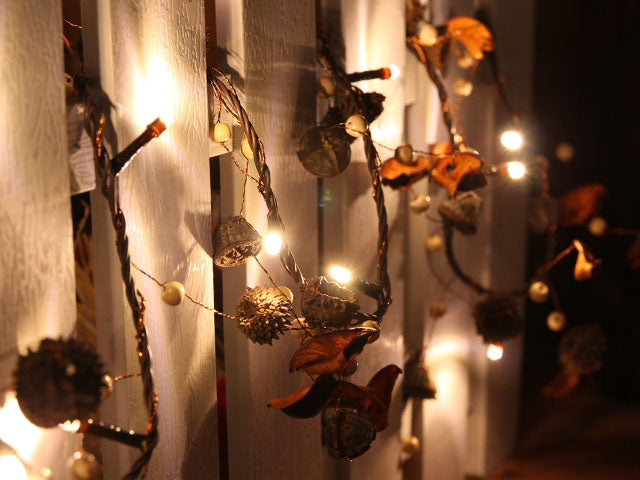 Battery Operated Decorative Warm White LED String Light with Acorn Natural - Pack of 5